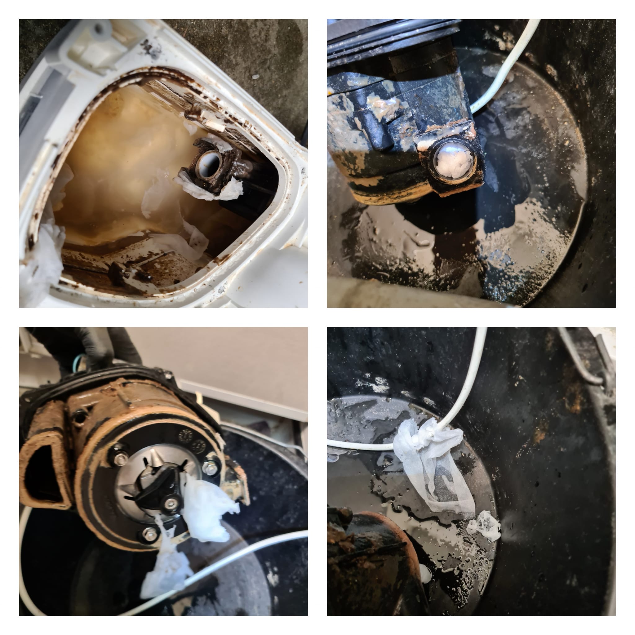Inside of a Saniflo blockage.